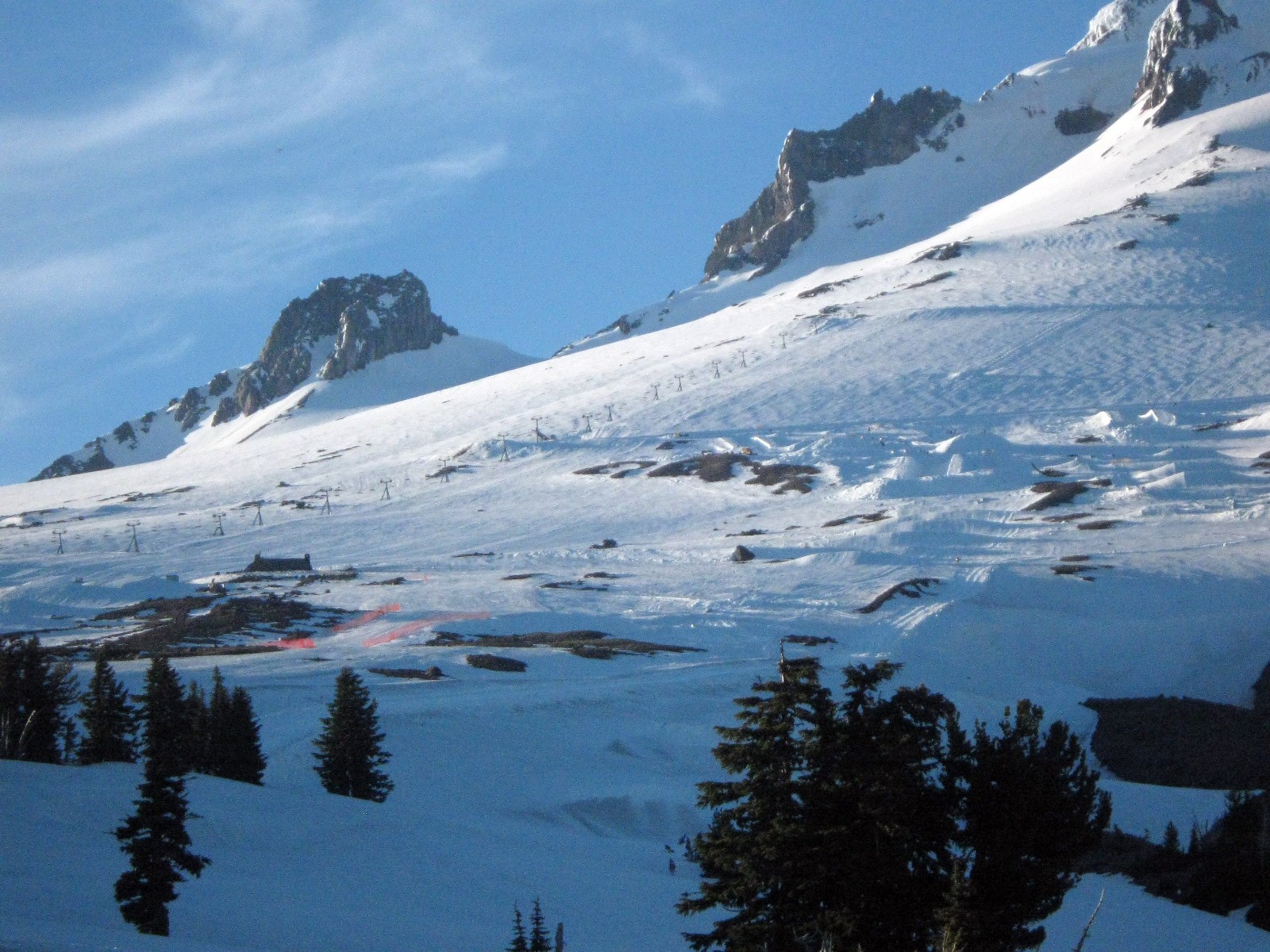 Timberline summer