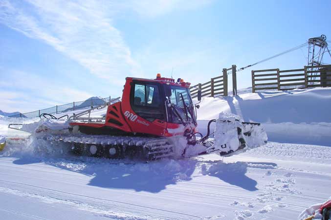 St Lary groomers